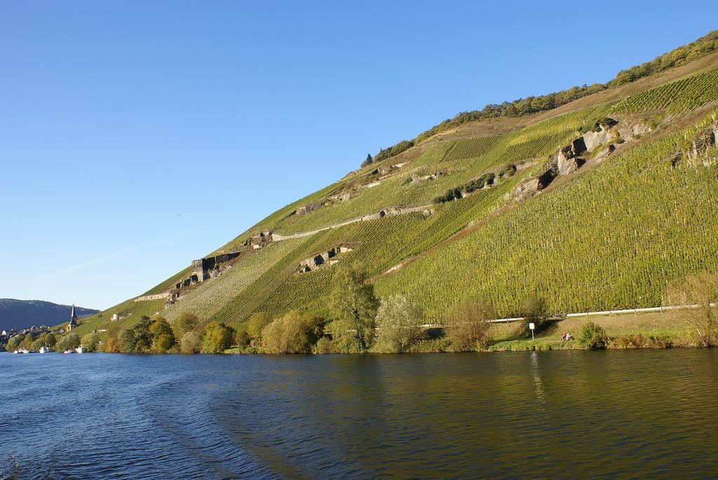 Weinvilla Heinrichshof Zeltingen-Rachtig Exterior foto